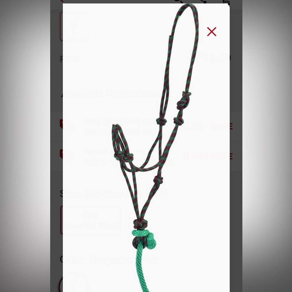 Green and pink Rope halter